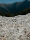 Alpine Spark Silver Ring