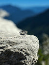 Radiant Solitaire Majesty Ring